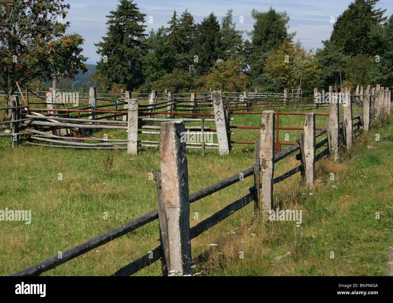 Cattle yard hi-res stock photography and images - Alamy