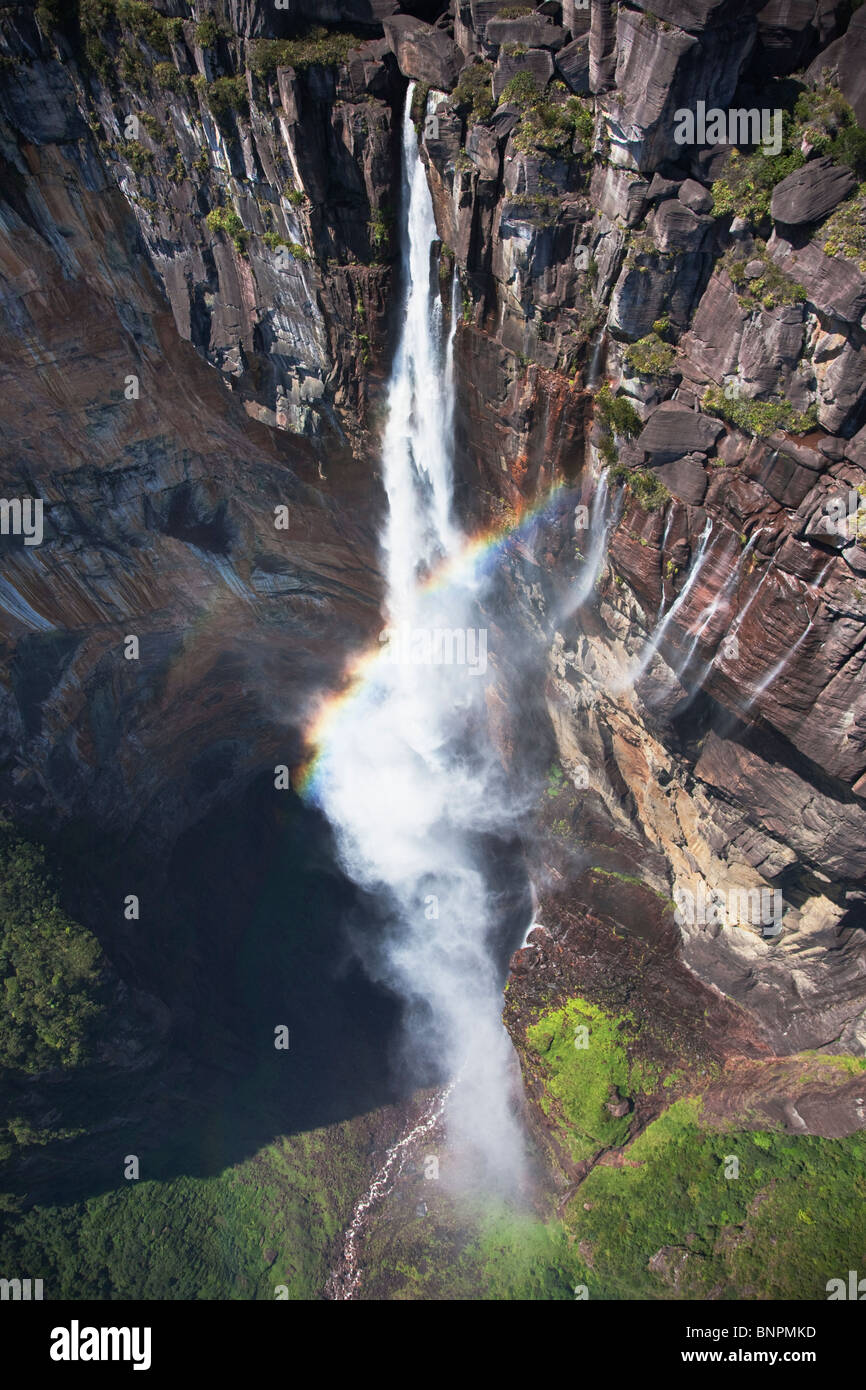 Angel Falls plummets nearly 979 meters from a Tepui. It is located on top of the Auyantepui.  Venezuela Stock Photo
