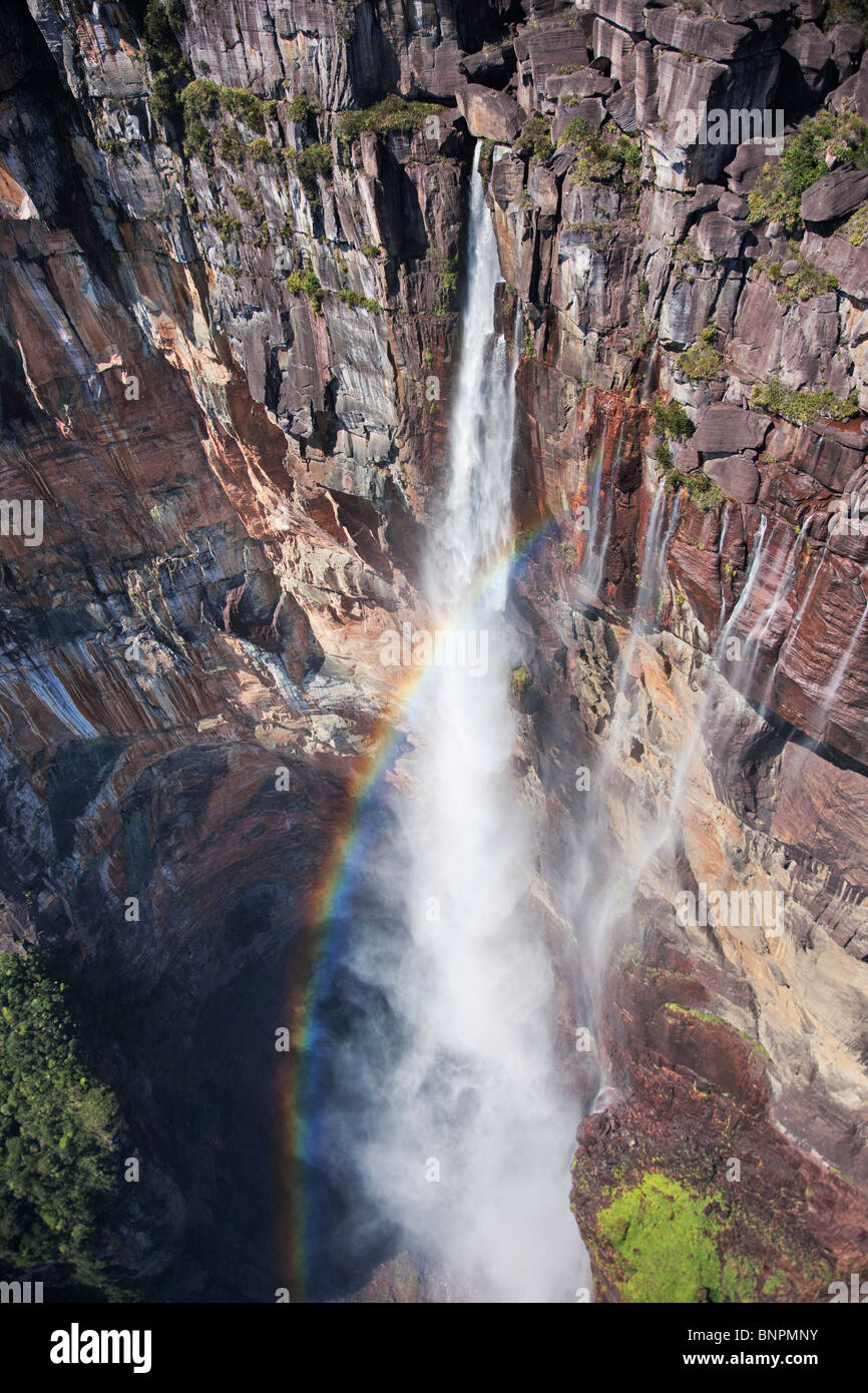 World famous Angel Falls plummets nearly 979 meters from a Tepui.  It is located ontop of the Auyantepui.  Venezuela Stock Photo