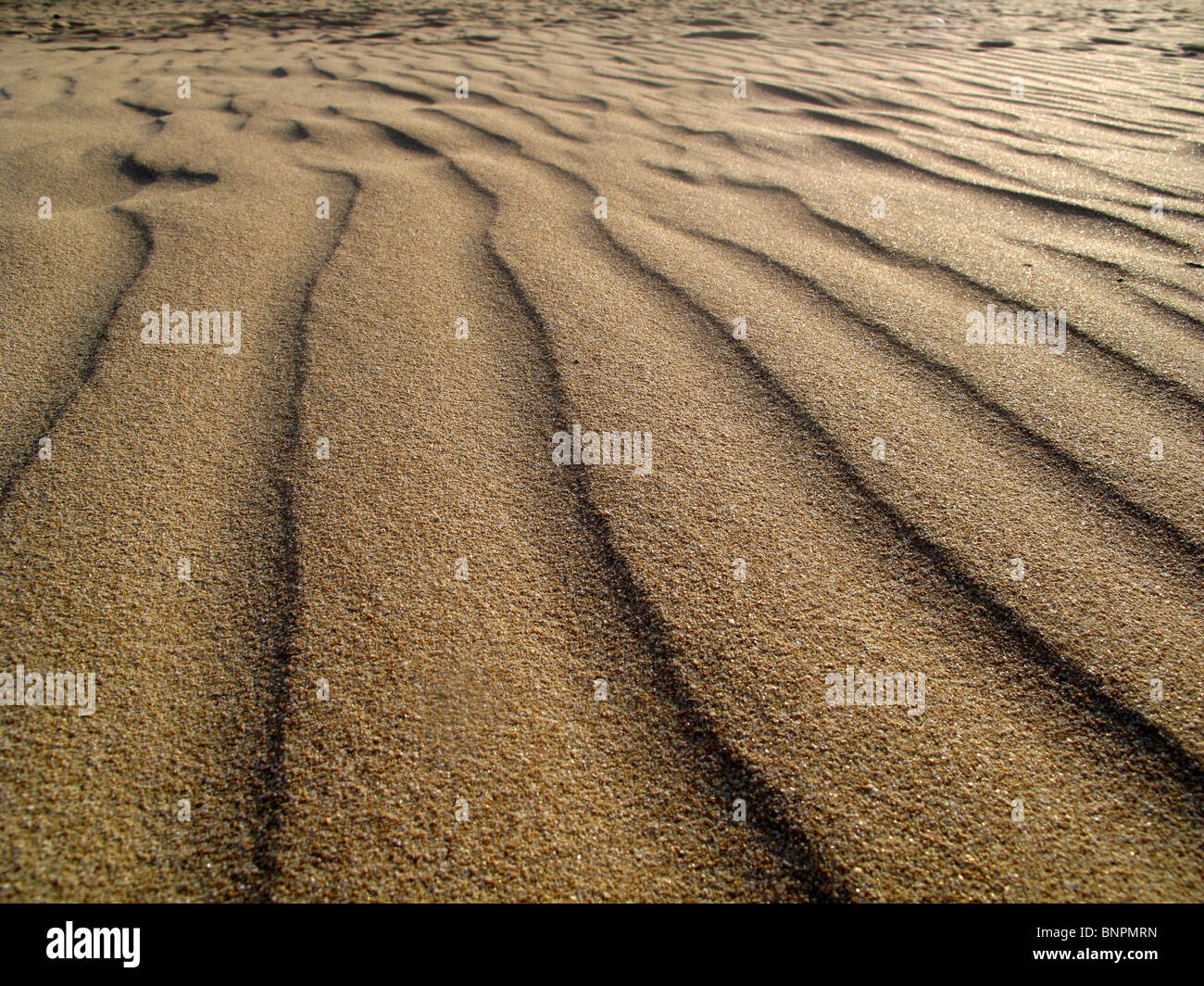 Wind rippled sand pattern on beach Stock Photo