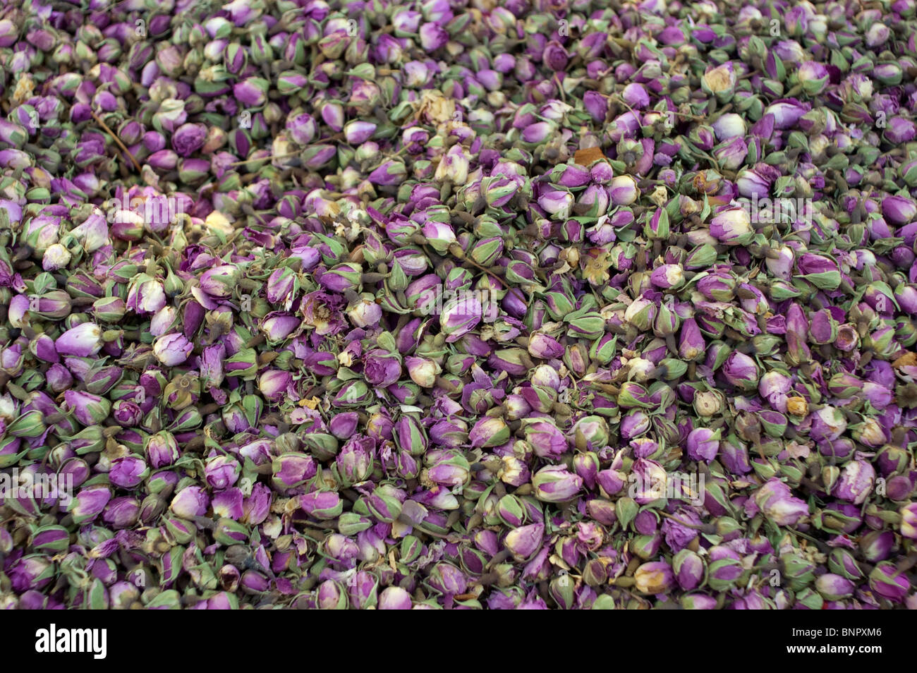 Public farmers market dried flowers hires stock photography and images