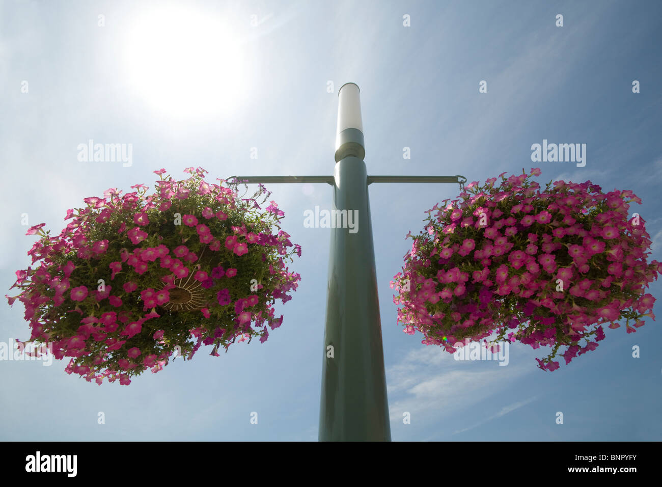 Flower baskets in Strasbourg, France Stock Photo Alamy