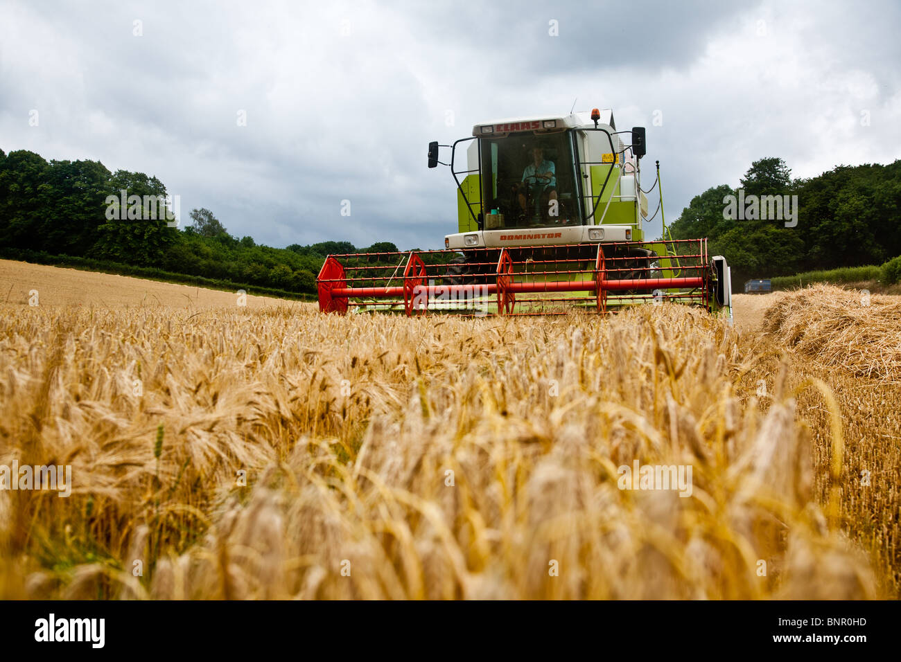 Combine Harvester Uk Barley Hi-res Stock Photography And Images - Alamy