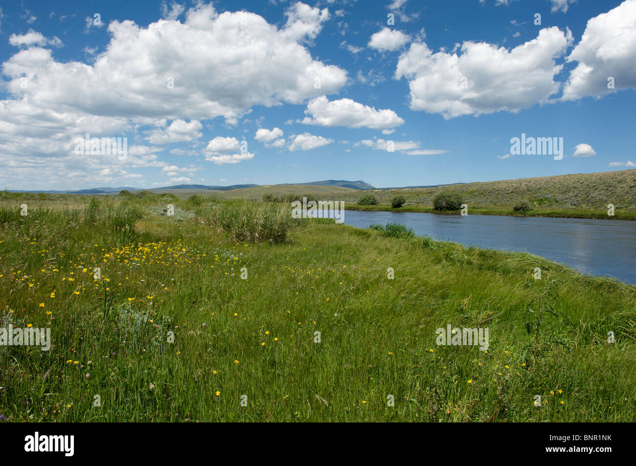 Big Hole River near Wisdom, Montana Stock Photo Alamy