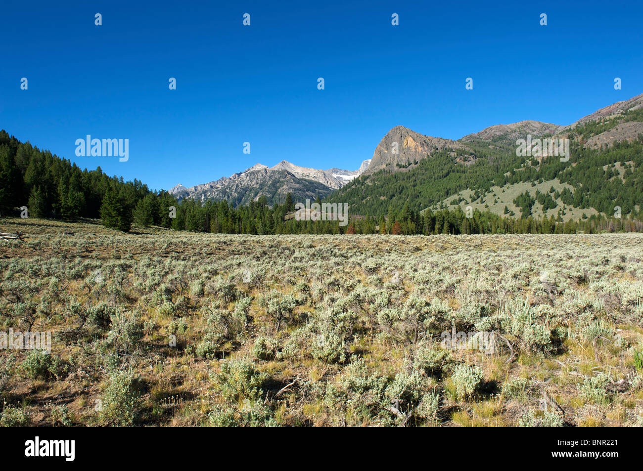 Wildhorse Creek area of the Copper Basin near Sun Valley, Idaho Stock