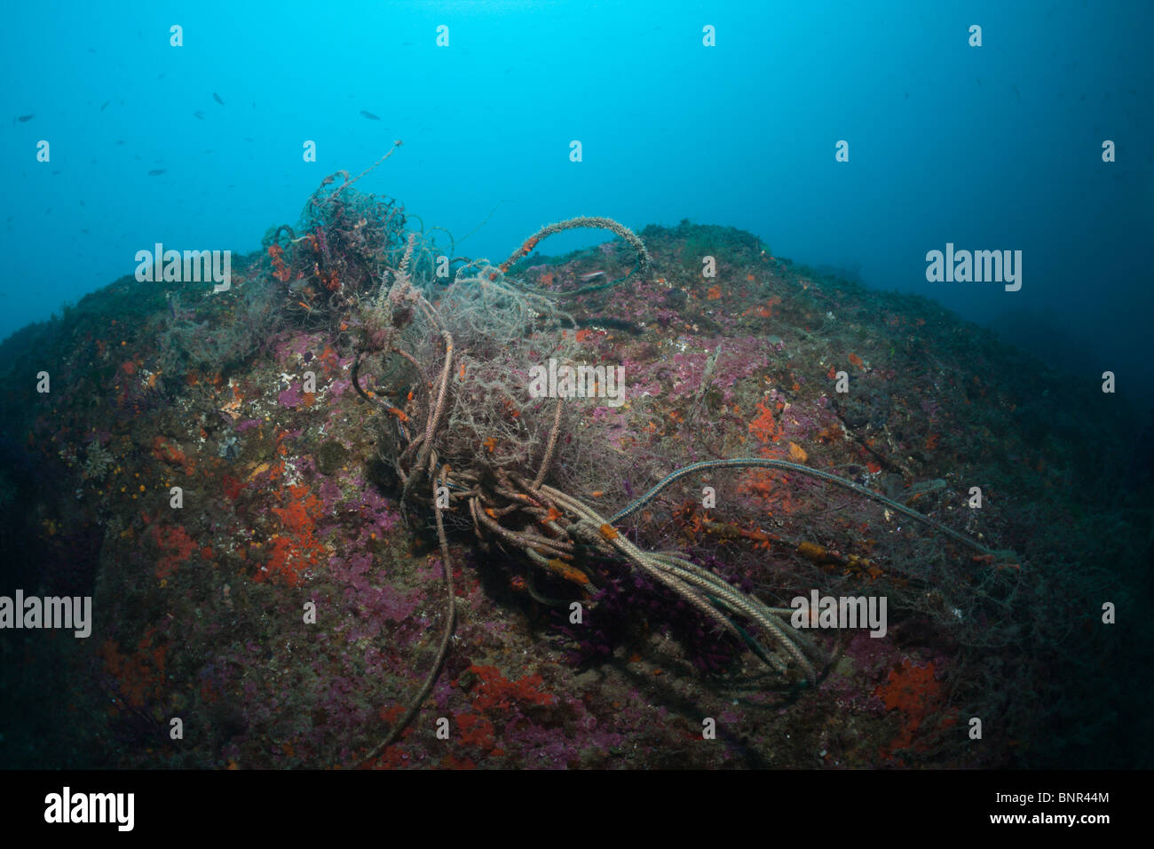 Lost Fishing Net over Reef, Cap de Creus, Costa Brava, Spain Stock Photo