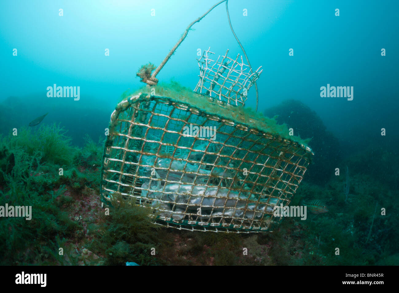 Traditional fish traps hi-res stock photography and images - Alamy