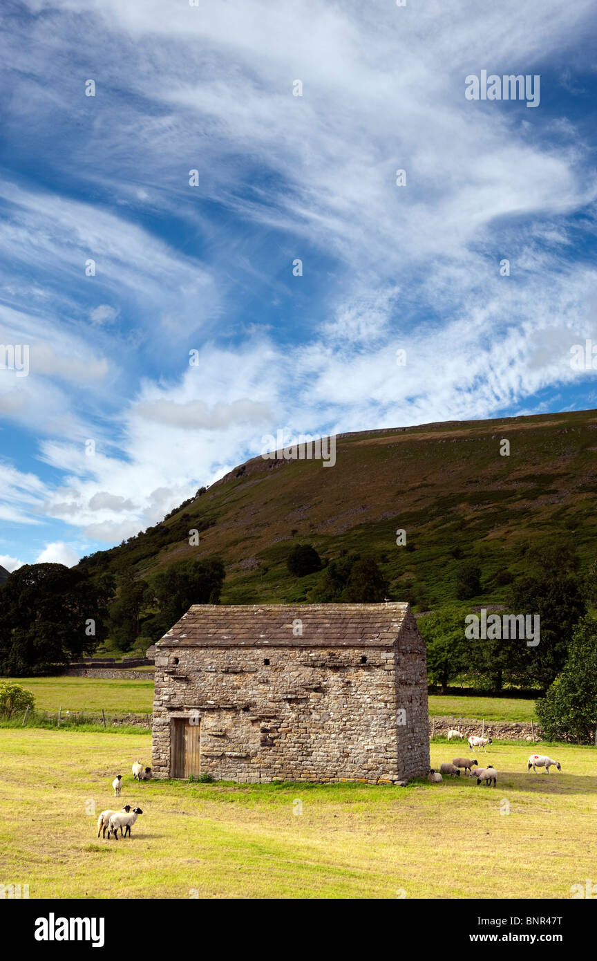 Dales Barn in newly harvested meadow, looking up Crackpot Ghyll on the River Swale Stock Photo