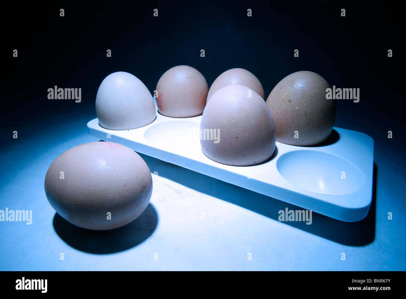 Six eggs Stock Photo
