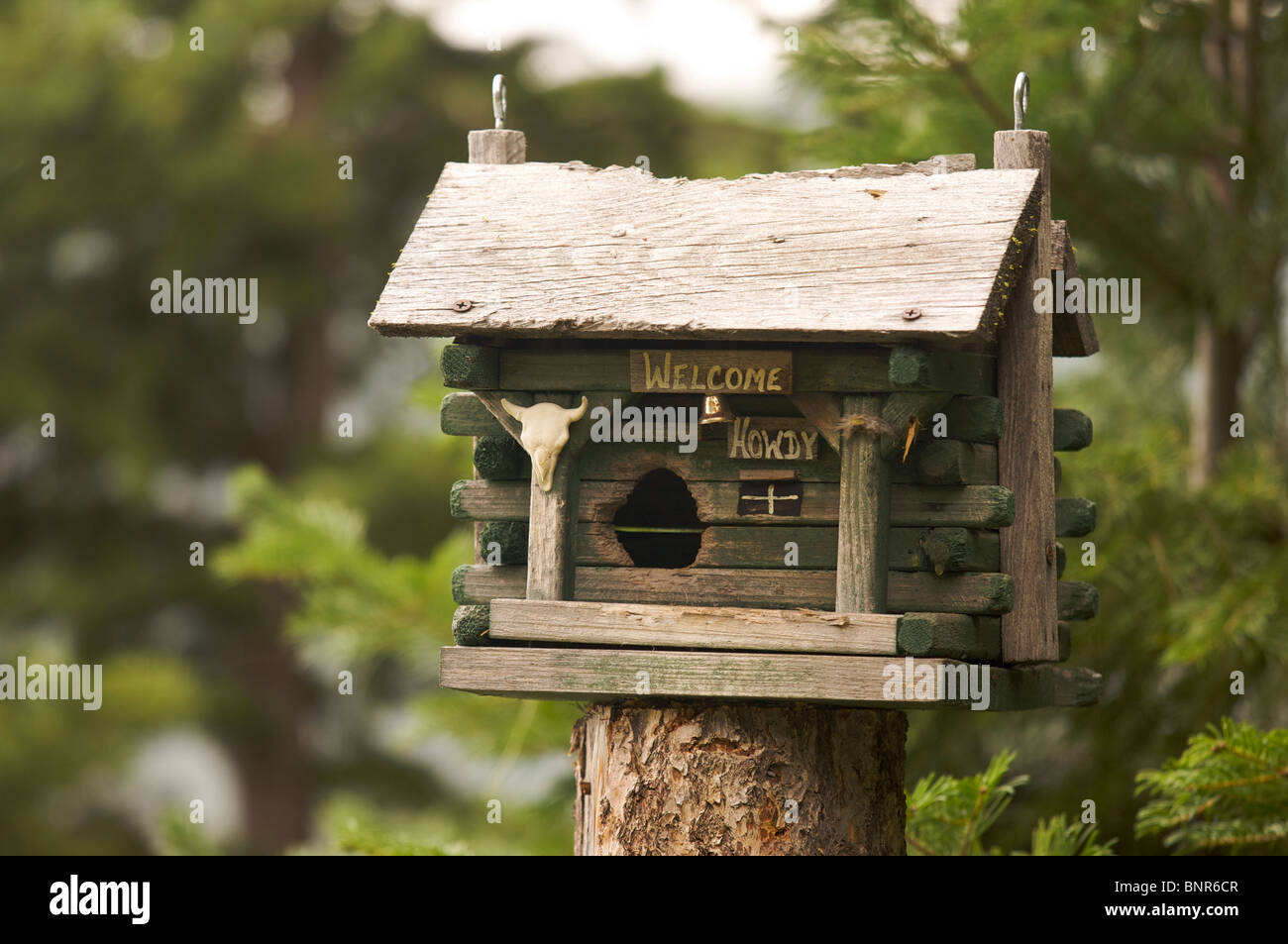 Rustic Birdhouse Amongst Pine Trees Stock Photo 30628103 Alamy