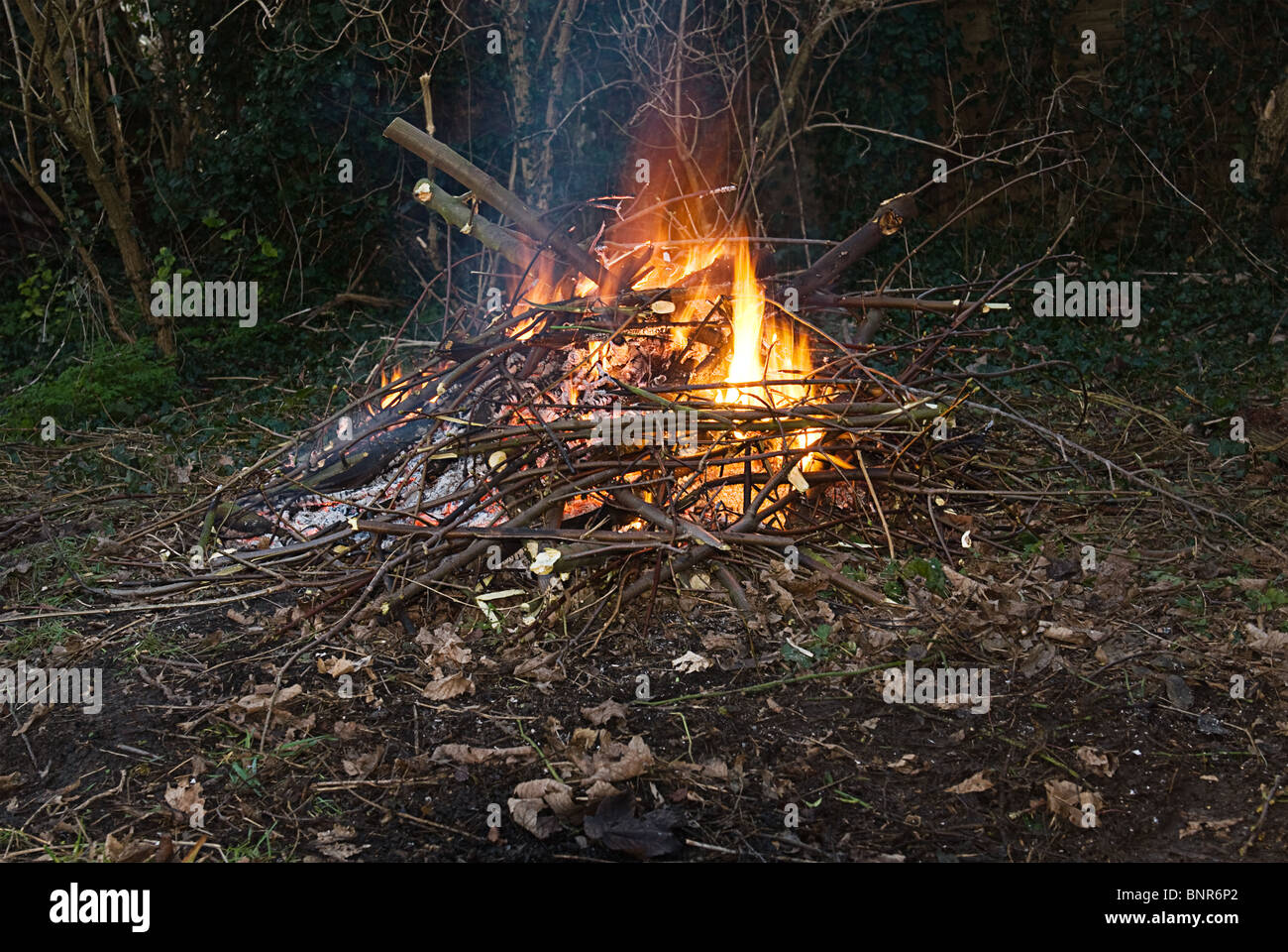 Garden bonfire burning shrubs and cleared out wood, often the cause of