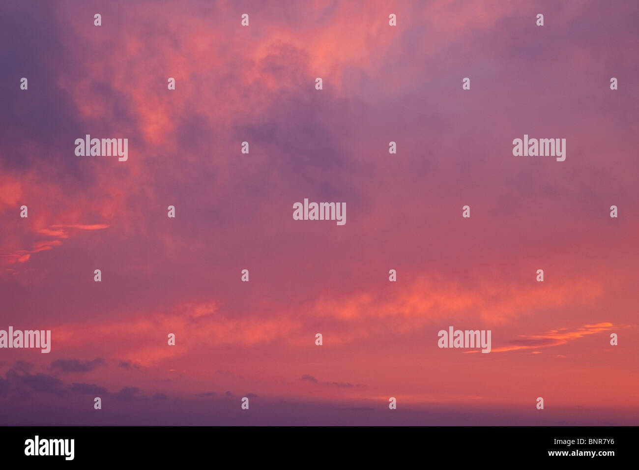 Pink clouds at sunset Stock Photo Alamy