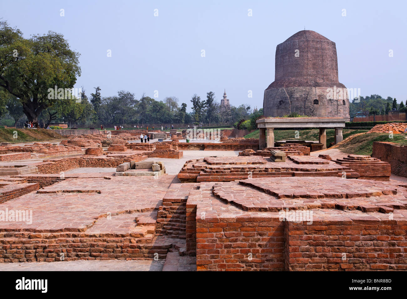 India - Uttar Pradesh - Sarnath - the buddhist Dhamekh Stupa Stock Photo
