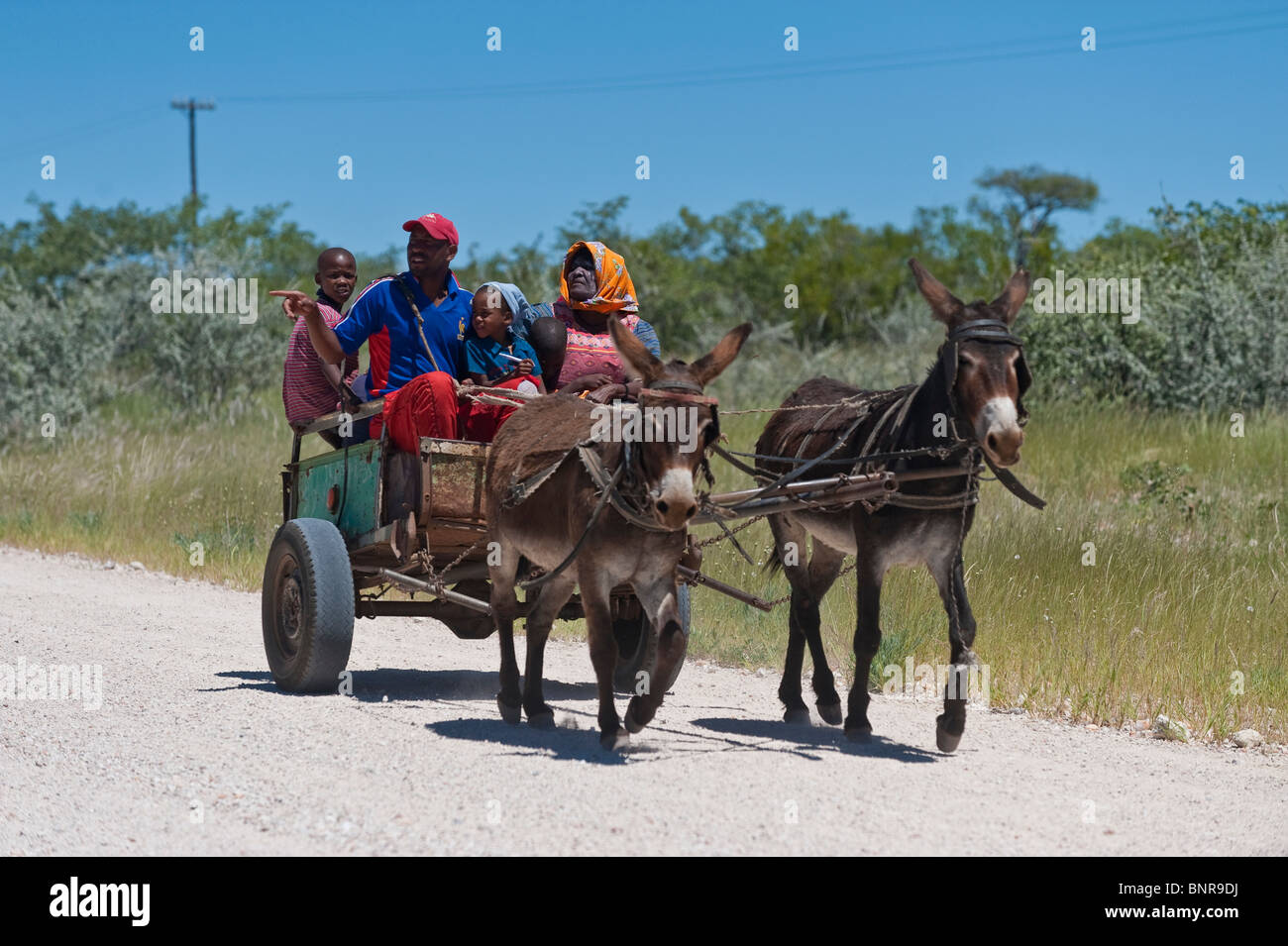 Local transport people riding in a donkey cart in Grootberg Namibia Stock Photo