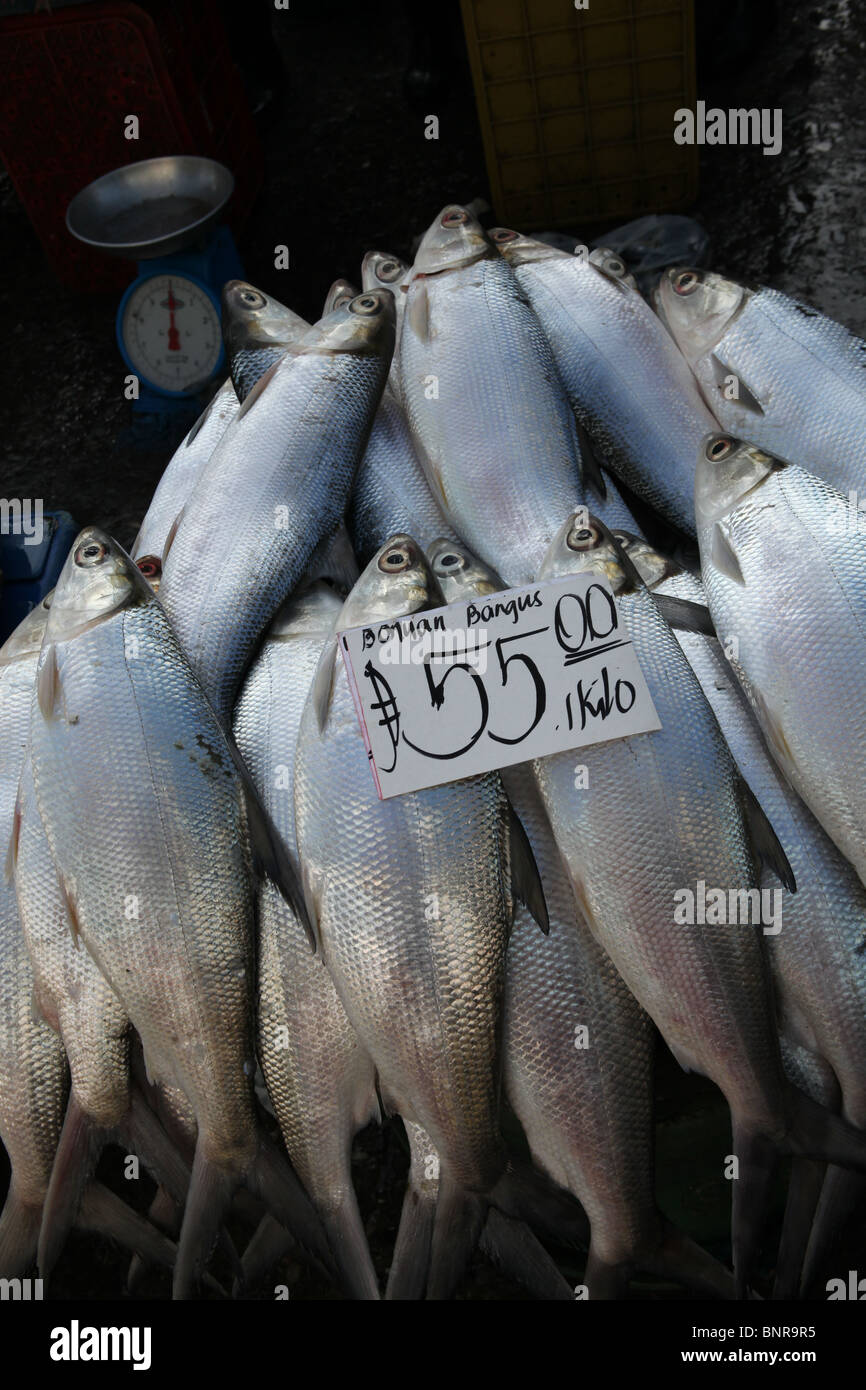 Philippine fish market hires stock photography and images Alamy