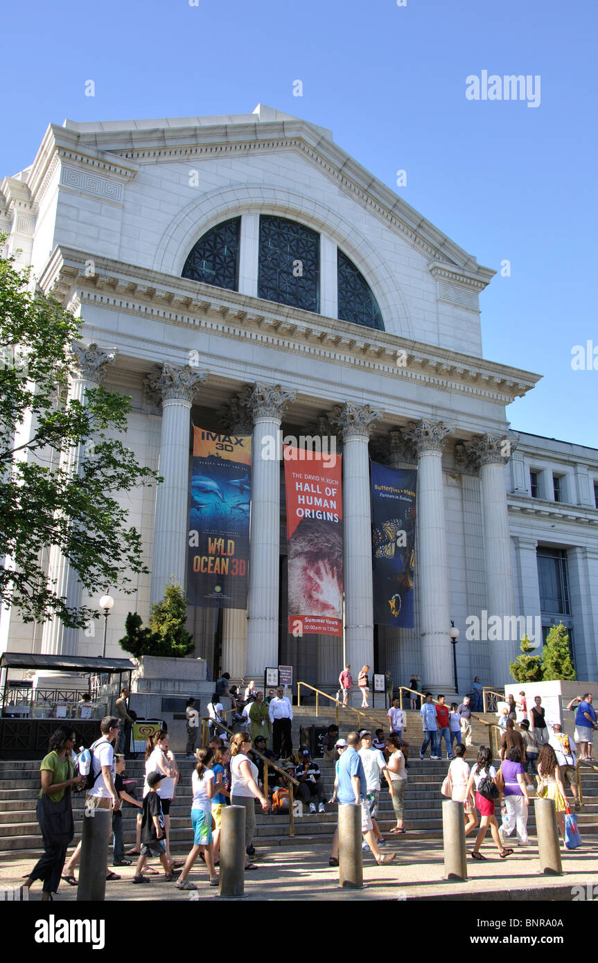 BEST THINGS TO SEE AT NATURAL HISTORY MUSEUM DC visual data 7