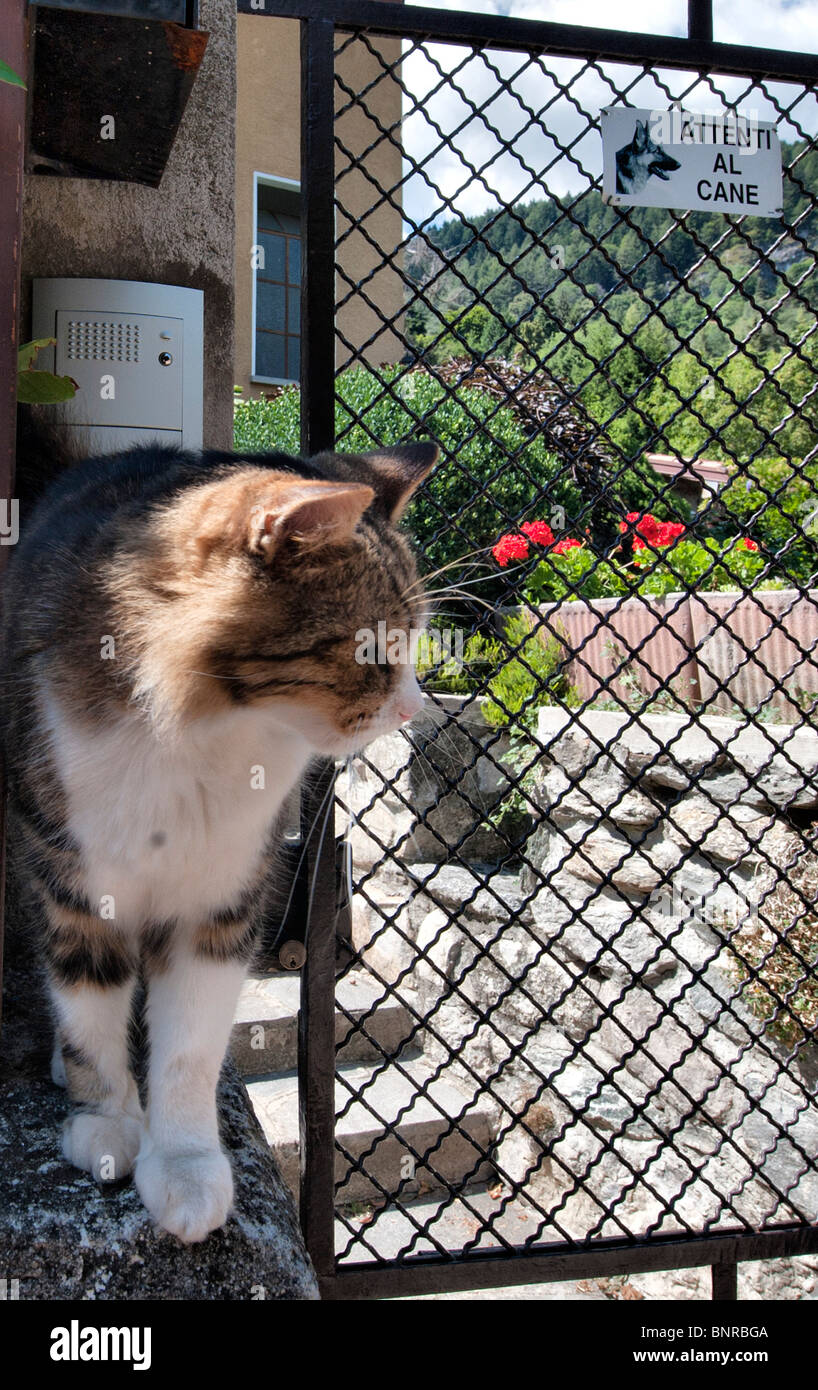 beware of dog and cat sign