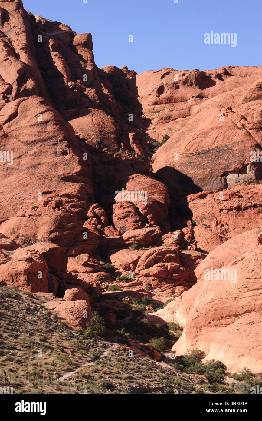 Red Rock Canyon Las Vegas state park - Calico Hills pink sandstone rock Stock Photo