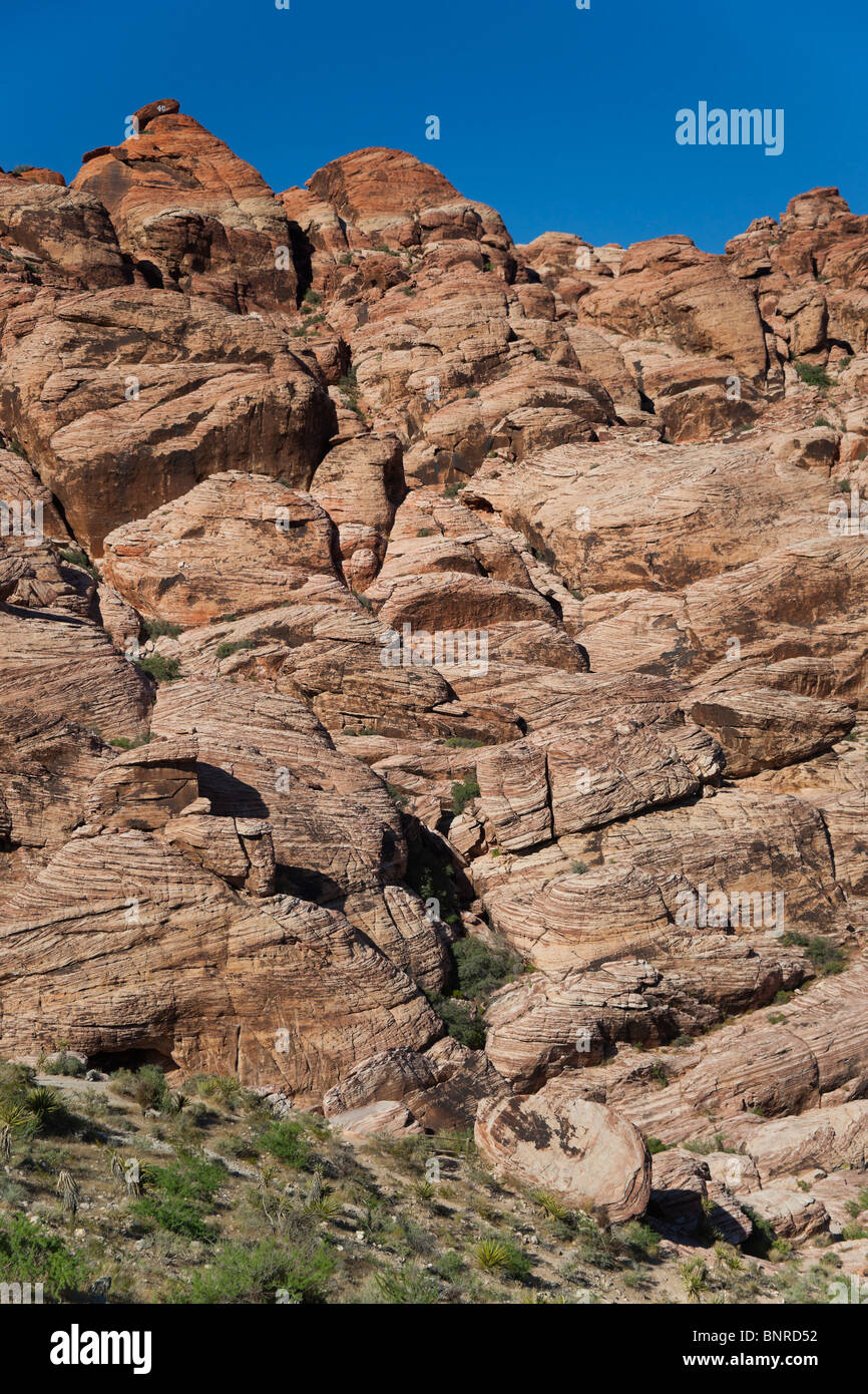 Red Rock Canyon Las Vegas state park - Calico Hills Stock Photo