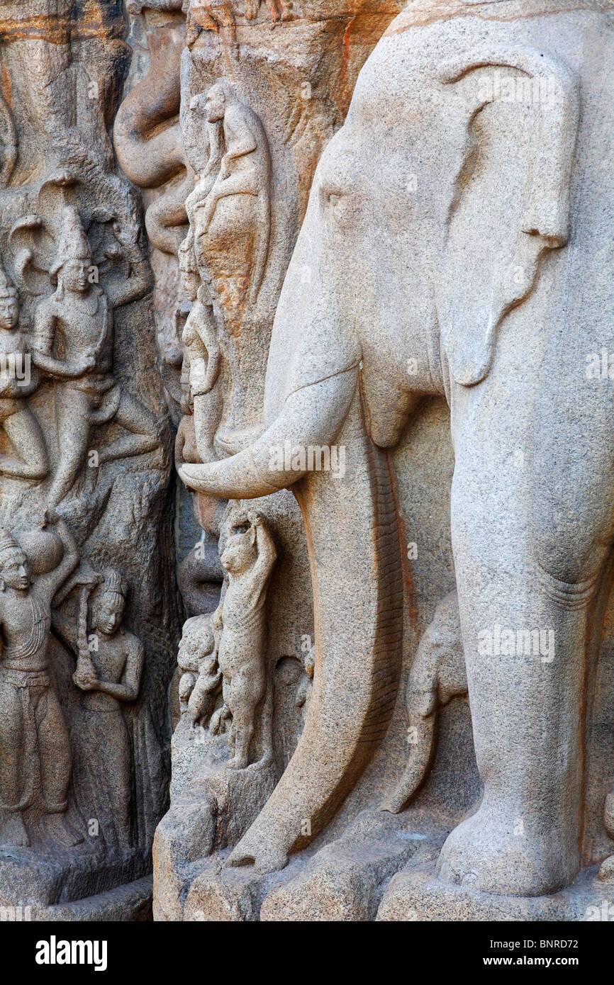 India Tamil Nadu Mamallapuram elephant sculpture at Arjuna's
