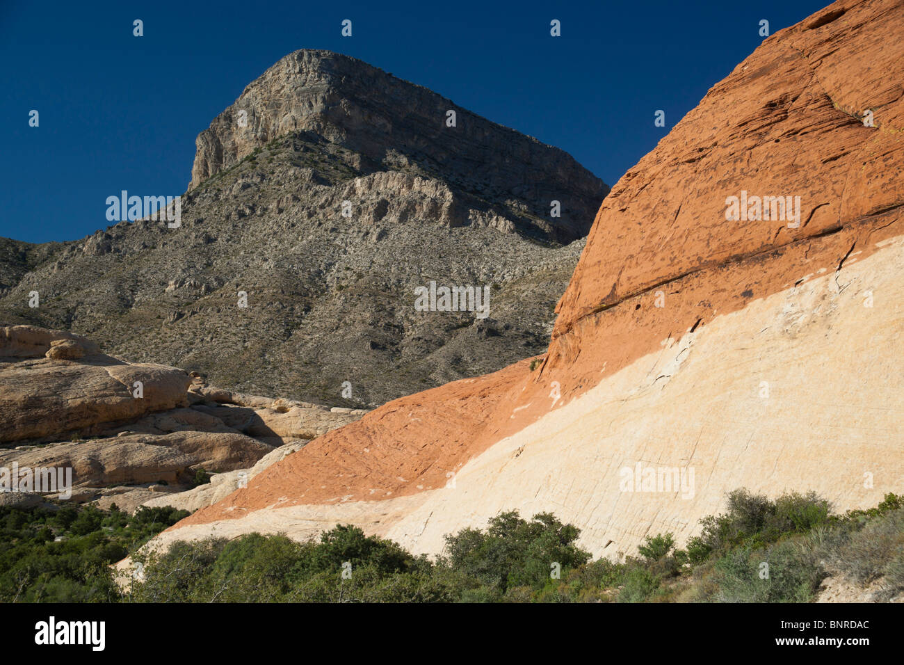 Red Rock Canyon Las Vegas state park - red and cream sandstone rock layers Stock Photo