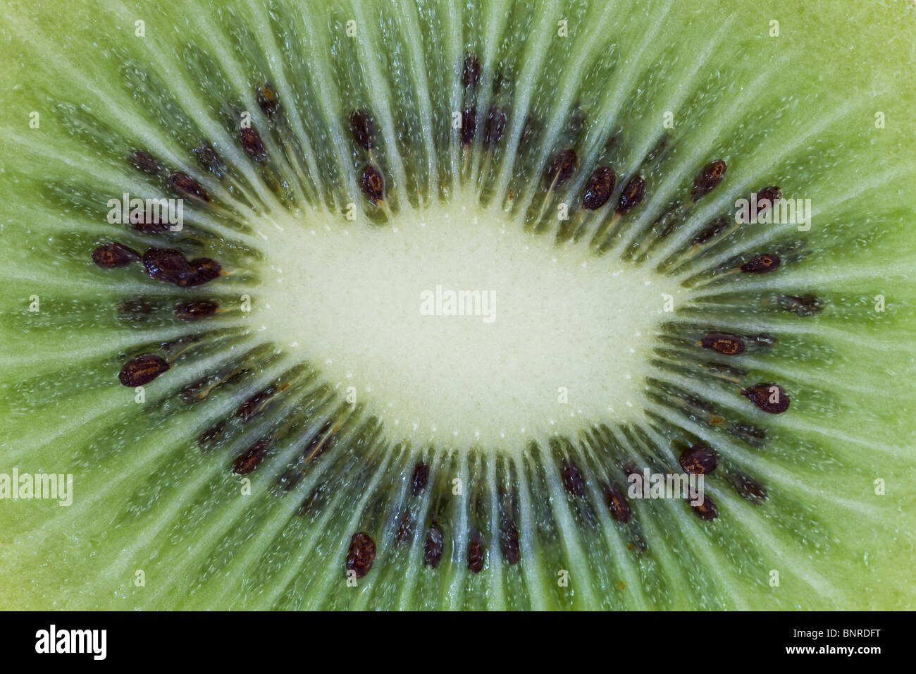Kiwifruit flesh closeup Stock Photo Alamy