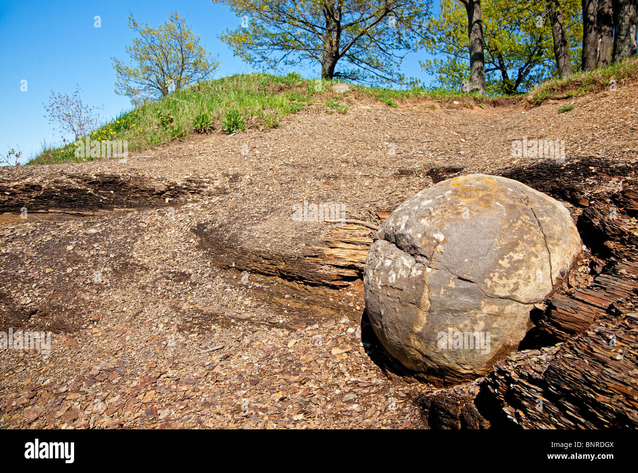 Concretion at Kettle Point, Ontario, Canada Stock Photo Alamy