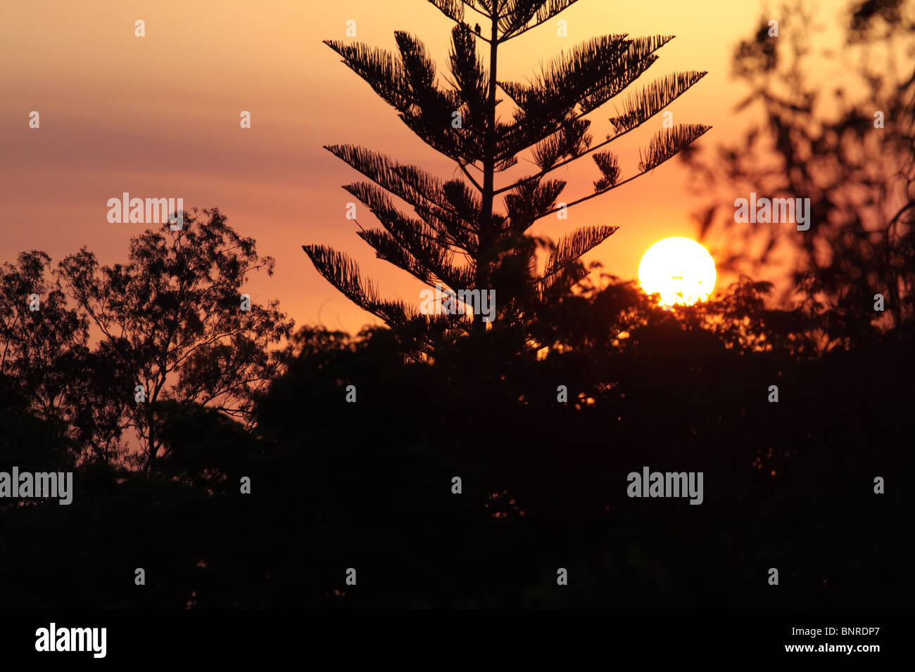 Beautiful ray of rising sun hi-res stock photography and images - Alamy