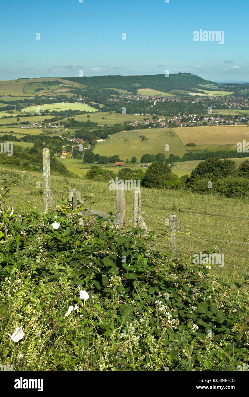 A view across to Chanctonbury Ring in the South Downs National Park. Stock Photo