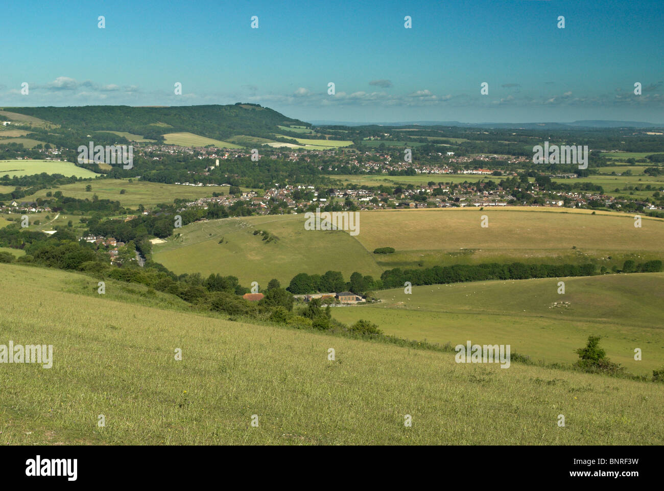 A view across to Chanctonbury Ring in the South Downs National Park. Stock Photo