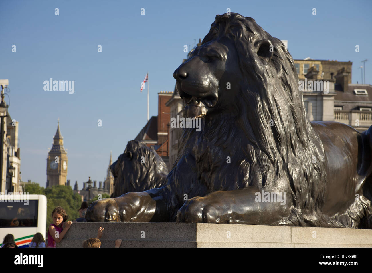 The Trafalgar Square lions, London Stock Photo