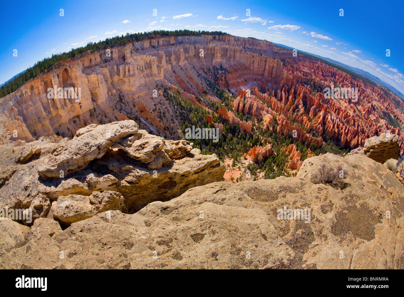 Canyon view in desert hi-res stock photography and images - Alamy