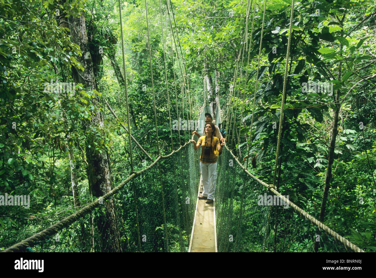 Brazil, Bahia state, Una area, Atlantic Forest, eco-tourism, Uno 'eco-park', tourists exploring rainforest. Stock Photo