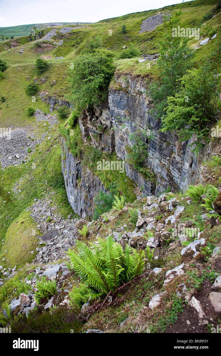 Overgrown limestone quarry Pwll Du hillside Blaenavon Wales UK Stock Photo