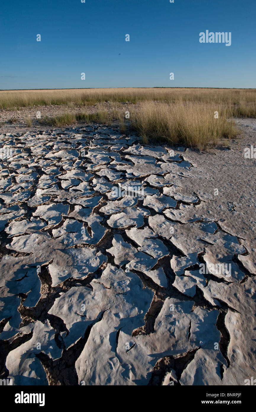 Cracked salty soil in the pan of Springbokfontein in Etosha National Park Namibia Stock Photo