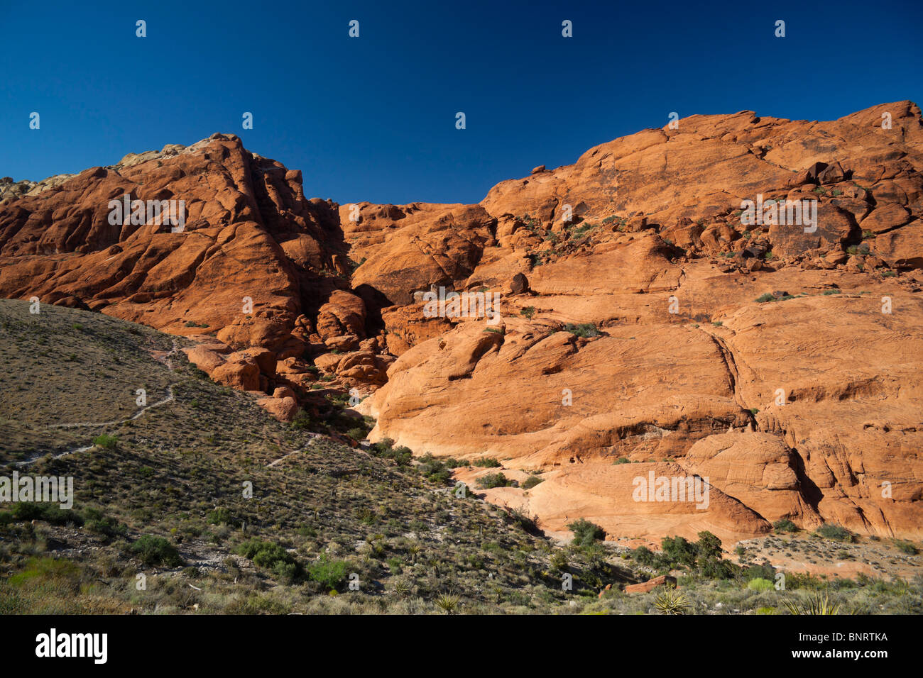 Red Rock Canyon Las Vegas state park - Calico Hills Stock Photo