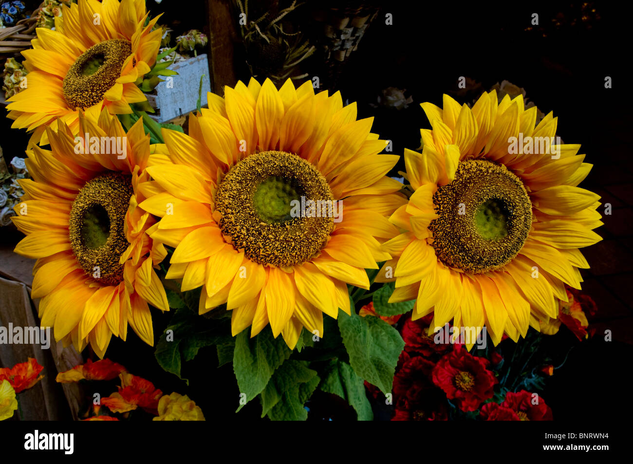 Europe, Italy, Naples artificial sunflowers Stock Photo Alamy