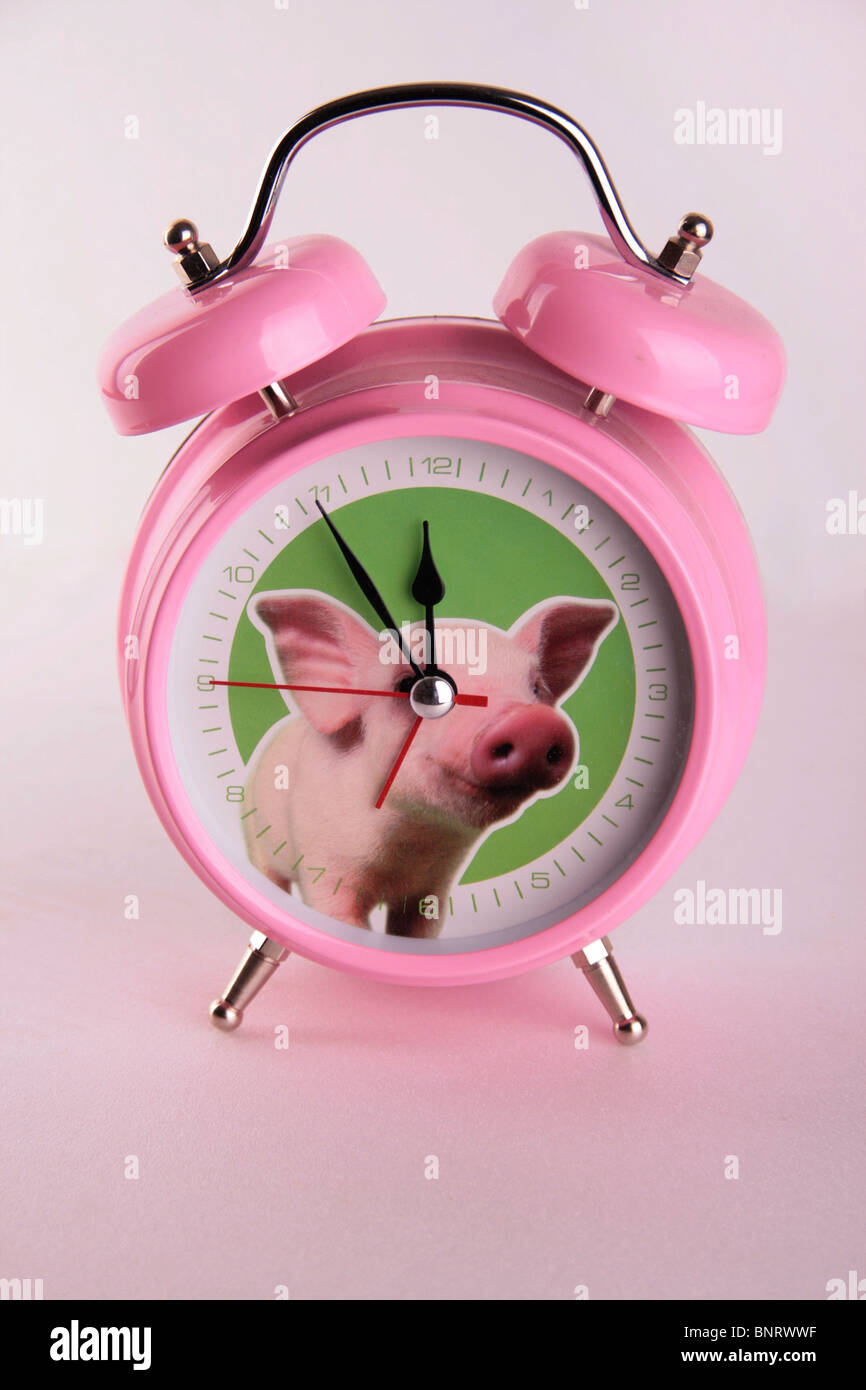 Pink, round analog alarm clock with pigs picture, on pink background