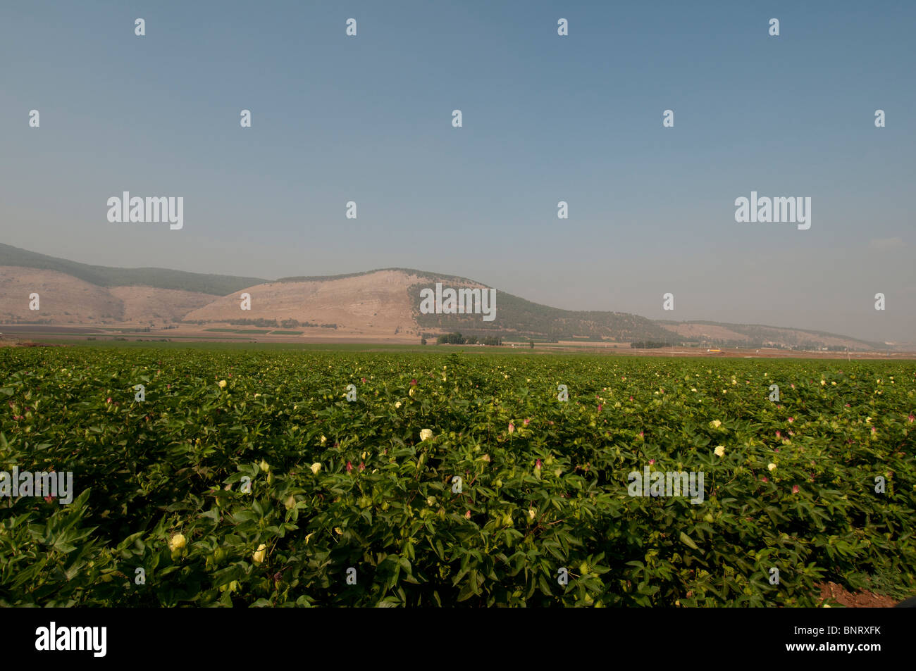 Mount Gilboa overlooking the Valley of Jezreel Israel Stock Photo