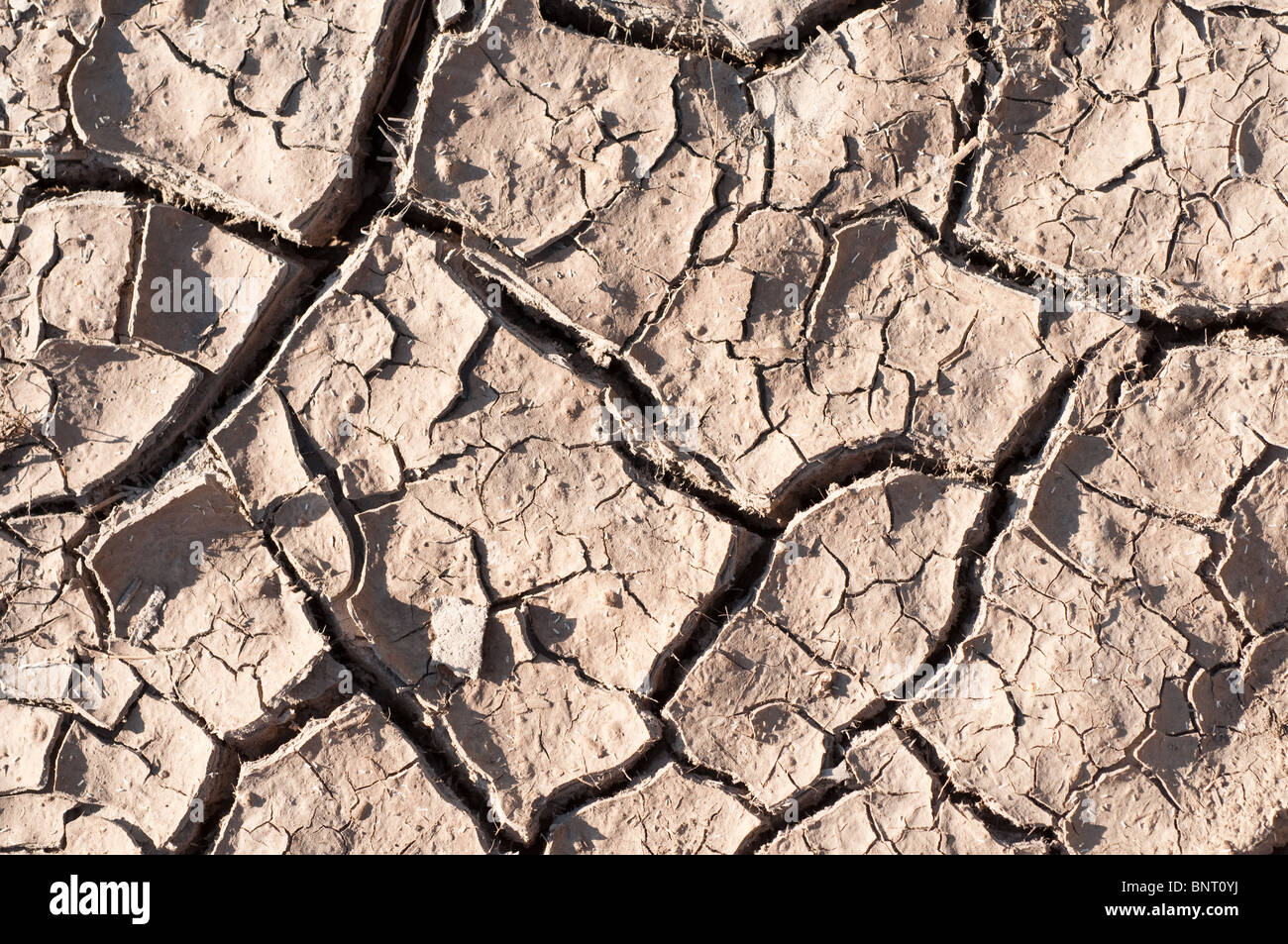 global warming concept of cracked ground Stock Photo - Alamy