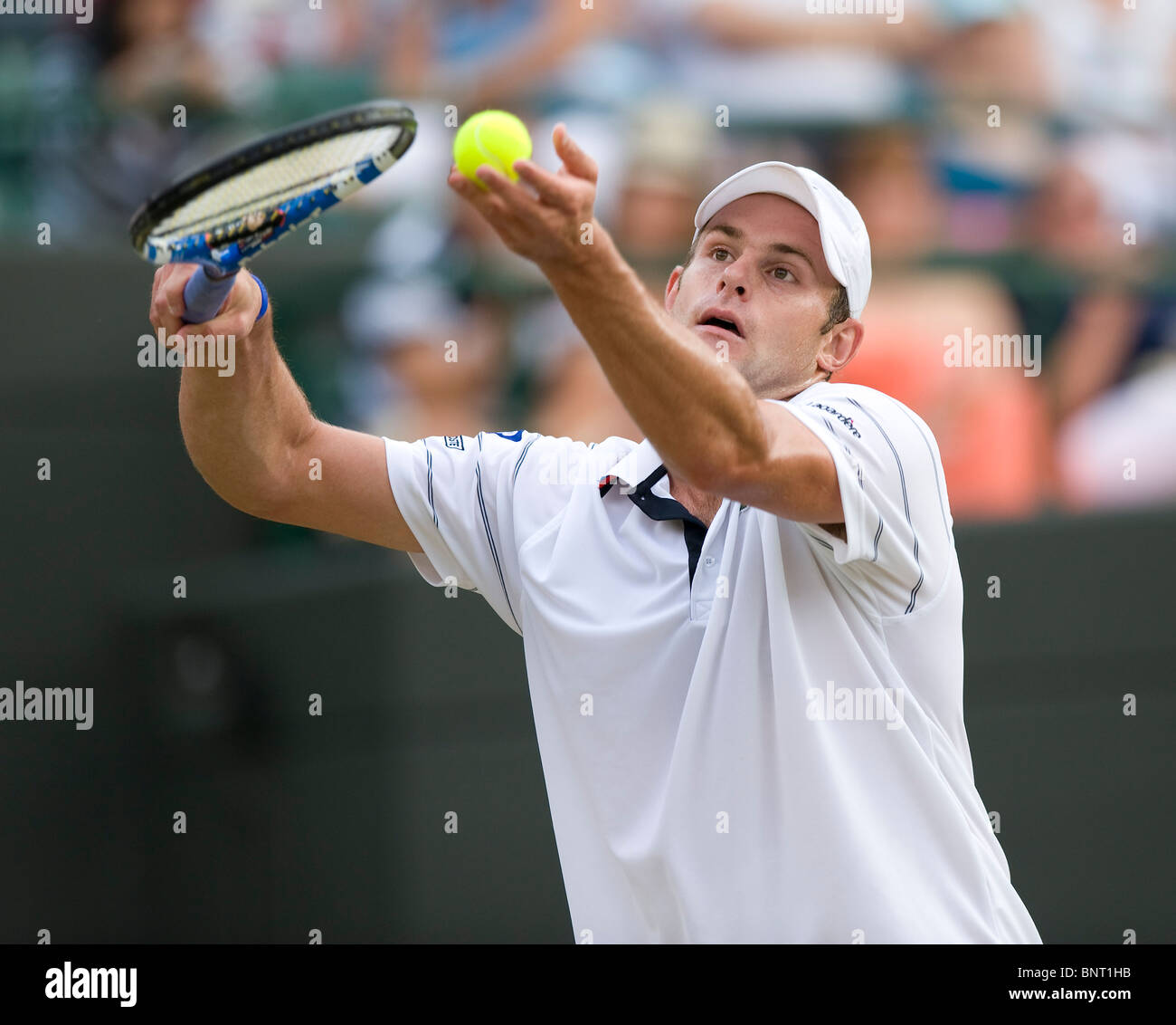 Andy Roddick (USA) in action during the Wimbledon Tennis Championships ...
