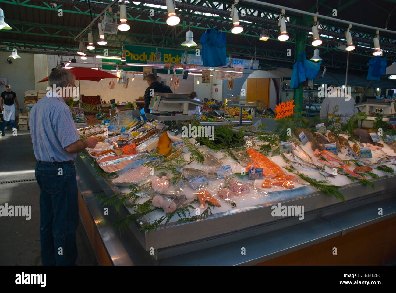 Seafood stall at Marche des Enfants Rouges market Le Marais district Paris France Europe Stock Photo