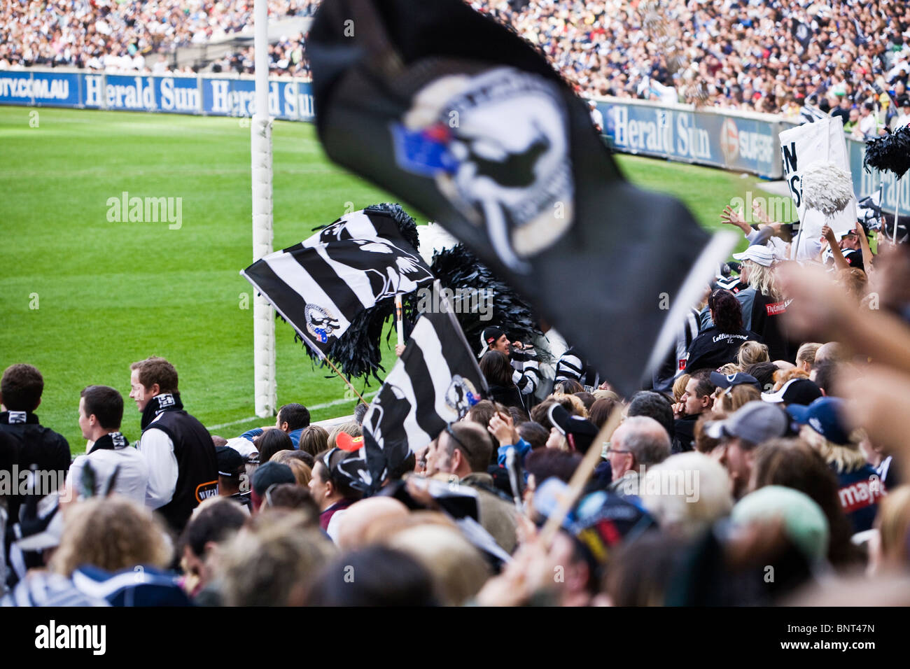 Supporters cheer on their teams during an Australian Rules Football game. Melbourne, Victoria, AUSTRALIA. Stock Photo