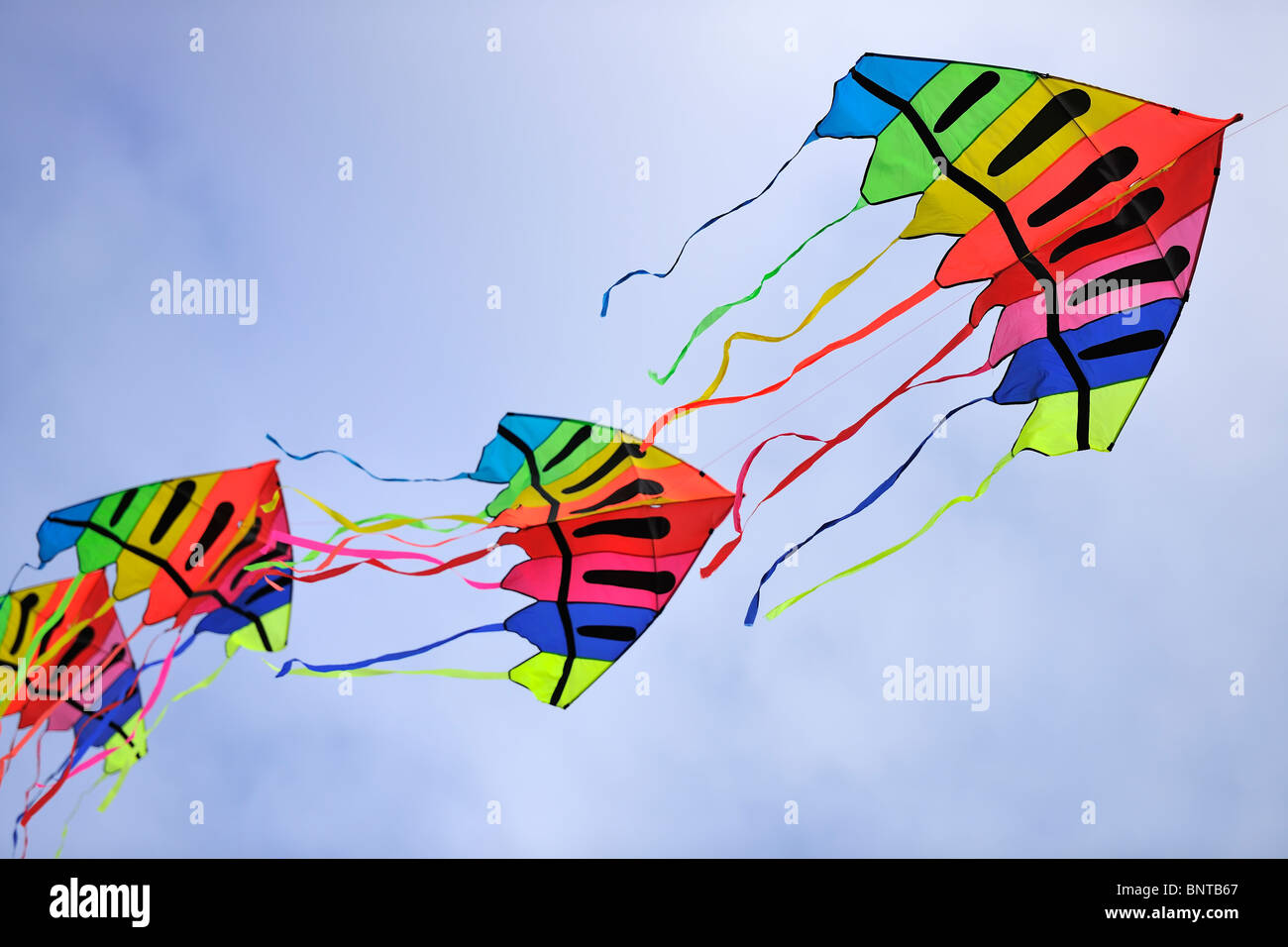 Flying Kites Stock Photo