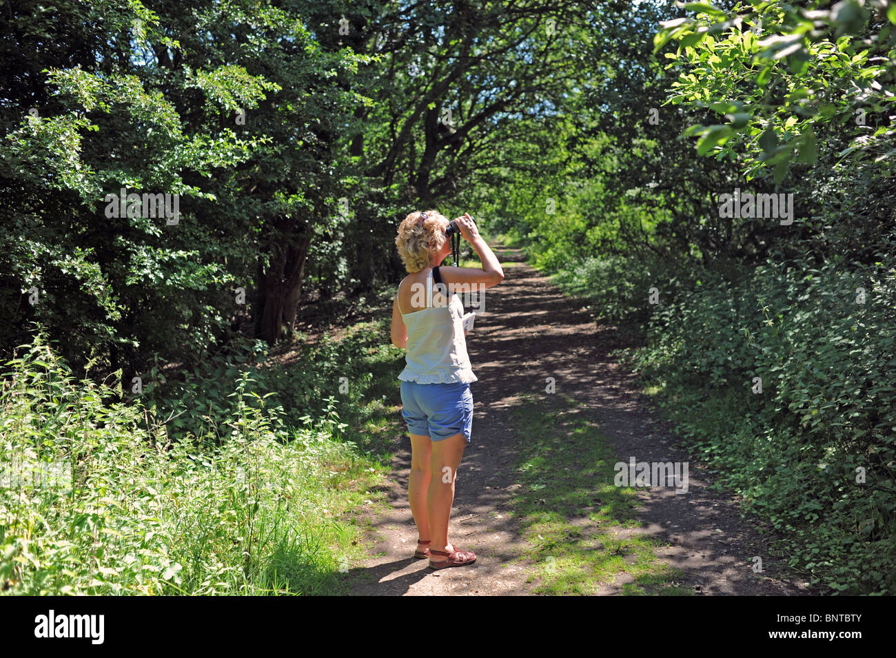 Female middle aged woman enjoying birdwatching with binoculars at woods