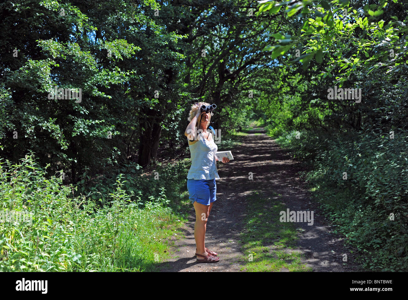 Female middle aged woman enjoying birdwatching with binoculars at woods