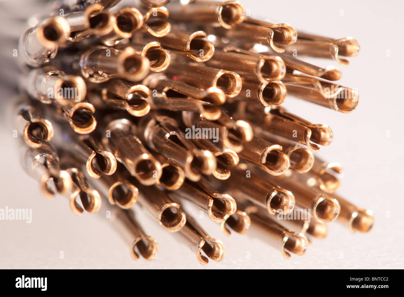 A bundle of goldplated wiring connectors Stock Photo Alamy
