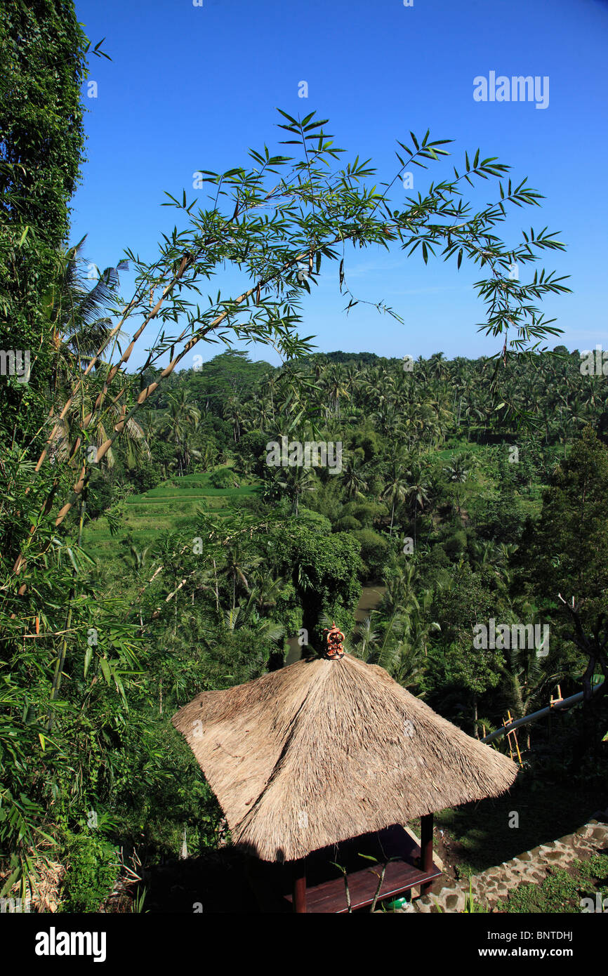 Indonesia, Bali, Sayan, Ayung River Valley, landscape, Stock Photo