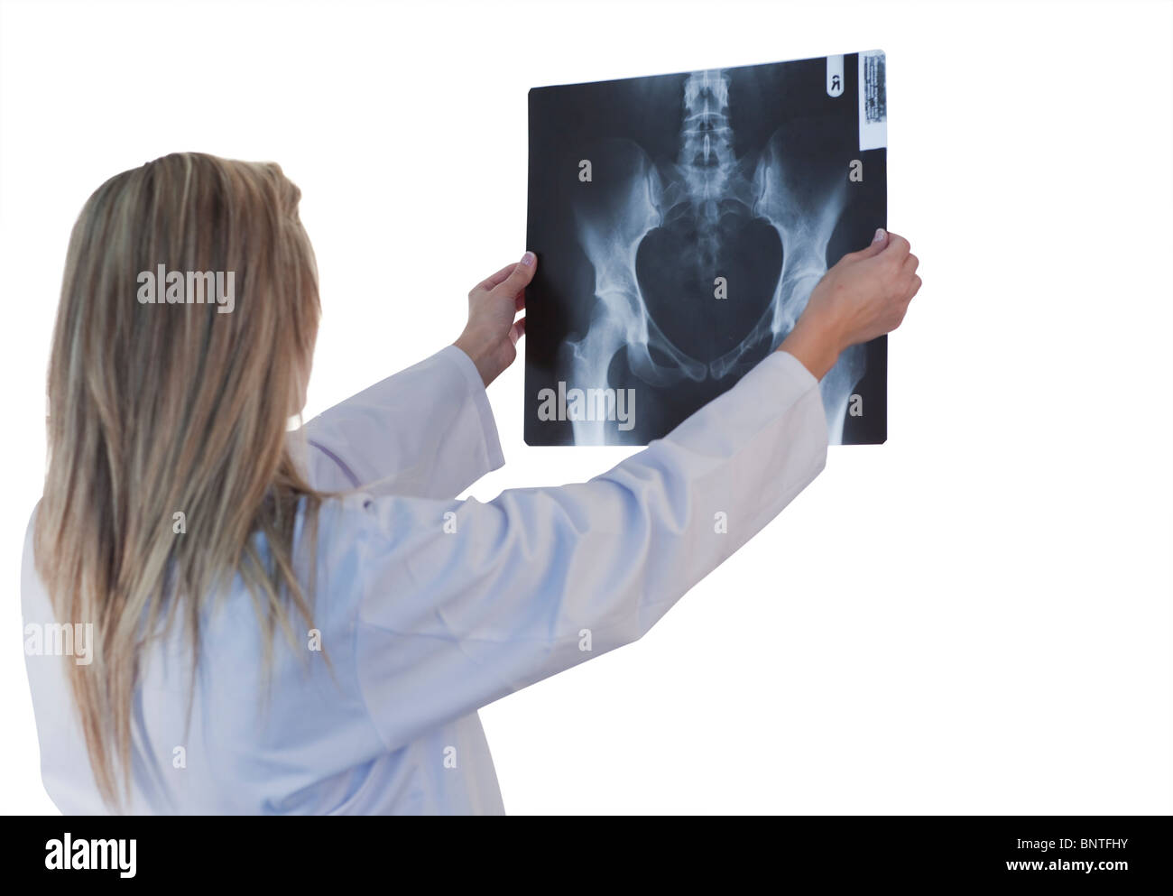 Doctor check x ray Cut Out Stock Images & Pictures - Alamy