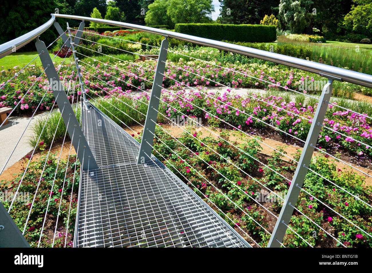 The contemporary walkway above the new Rose Garden in the Savill Gardens, part of the Royal